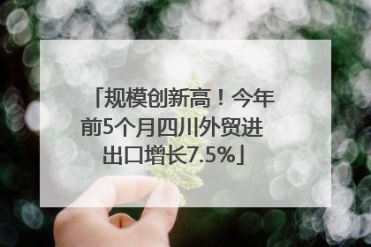 规模创新高！今年前5个月四川外贸进出口增长7.5%