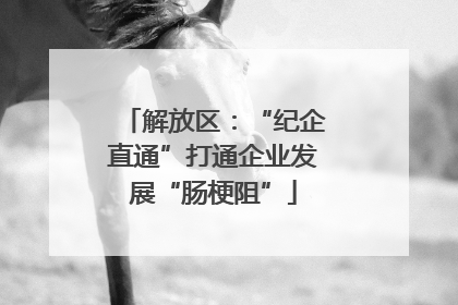 解放区：“纪企直通”打通企业发展“肠梗阻”