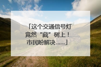 这个交通信号灯竟然“藏”树上！市民盼解决……