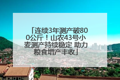 连续3年测产破800公斤！山农43号小麦测产持续稳定 助力粮食增产丰收