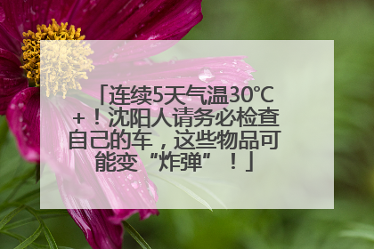 连续5天气温30℃+！沈阳人请务必检查自己的车，这些物品可能变“炸弹”！