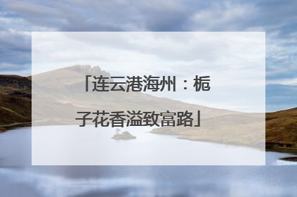 连云港海州：栀子花香溢致富路