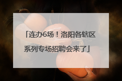 连办6场！洛阳各辖区系列专场招聘会来了