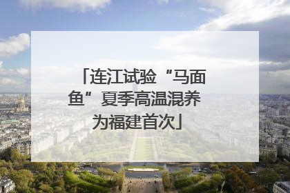 连江试验“马面鱼”夏季高温混养 为福建首次