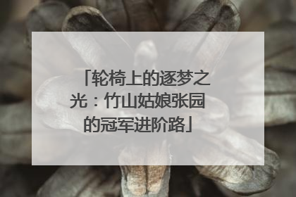 轮椅上的逐梦之光：竹山姑娘张园的冠军进阶路