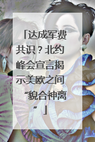 达成军费共识？北约峰会宣言揭示美欧之间“貌合神离”