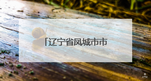 辽宁省凤城市市场监管局开展养老机构食堂食品安全专项整治