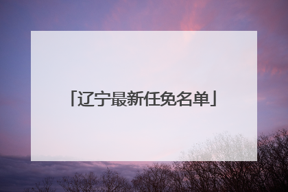 辽宁最新任免名单