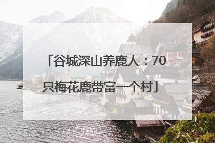谷城深山养鹿人：70只梅花鹿带富一个村