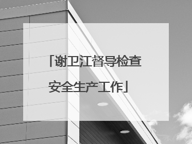 谢卫江督导检查安全生产工作