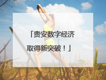 贵安数字经济取得新突破！
