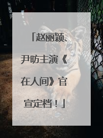 赵丽颖、尹昉主演《在人间》官宣定档！