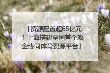 资源配置超65亿元！上海搭建全国首个政企协同体育资源平台