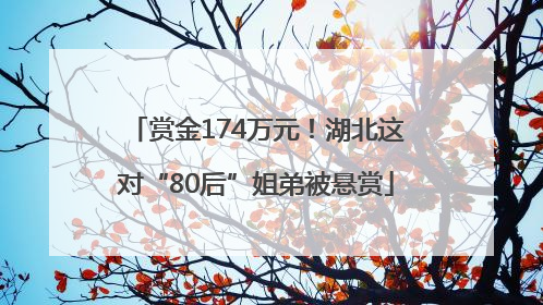 赏金174万元！湖北这对“80后”姐弟被悬赏