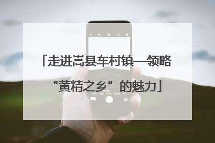 走进嵩县车村镇—领略“黄精之乡”的魅力
