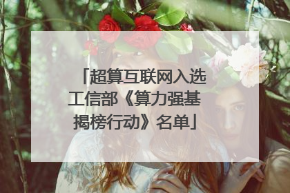 超算互联网入选工信部《算力强基揭榜行动》名单