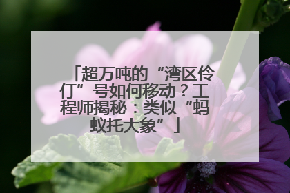 超万吨的“湾区伶仃”号如何移动？工程师揭秘：类似“蚂蚁托大象”