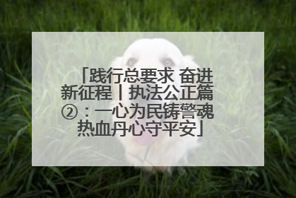 践行总要求 奋进新征程丨执法公正篇②：一心为民铸警魂 热血丹心守平安
