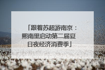 跟着苏超游南京：熙南里启动第二届夏日夜经济消费季