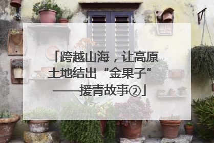 跨越山海，让高原土地结出“金果子”——援青故事②
