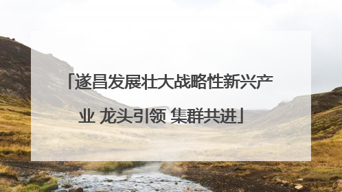 遂昌发展壮大战略性新兴产业 龙头引领 集群共进