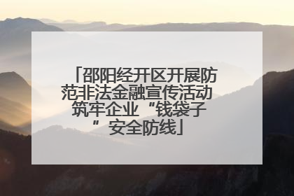 邵阳经开区开展防范非法金融宣传活动 筑牢企业“钱袋子”安全防线