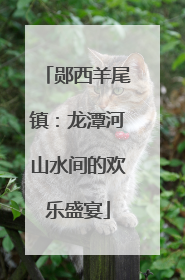 郧西羊尾镇：龙潭河山水间的欢乐盛宴