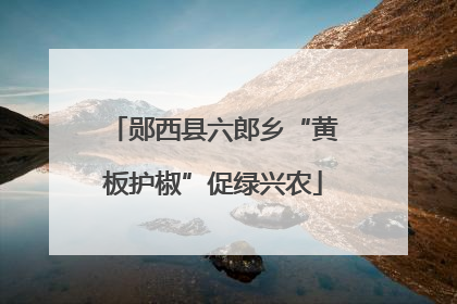 郧西县六郎乡“黄板护椒”促绿兴农