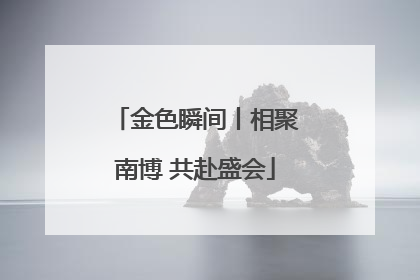 金色瞬间丨相聚南博 共赴盛会