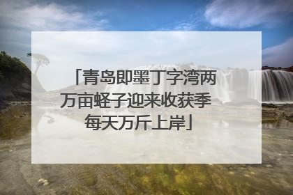 青岛即墨丁字湾两万亩蛏子迎来收获季 每天万斤上岸