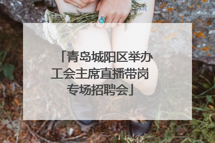 青岛城阳区举办工会主席直播带岗专场招聘会
