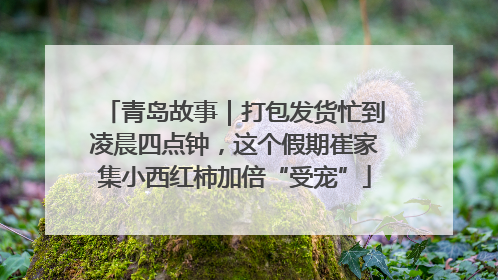 青岛故事｜打包发货忙到凌晨四点钟，这个假期崔家集小西红柿加倍“受宠”