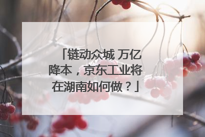 链动众城 万亿降本，京东工业将在湖南如何做？