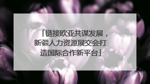 链接欧亚共谋发展，新疆人力资源展交会打造国际合作新平台
