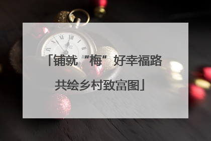 铺就“梅”好幸福路 共绘乡村致富图
