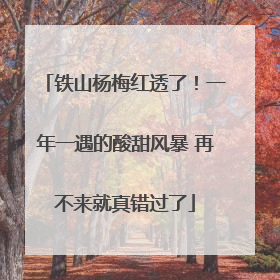 铁山杨梅红透了！一年一遇的酸甜风暴 再不来就真错过了
