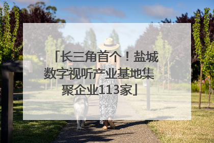 长三角首个！盐城数字视听产业基地集聚企业113家