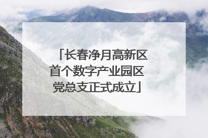 长春净月高新区首个数字产业园区党总支正式成立