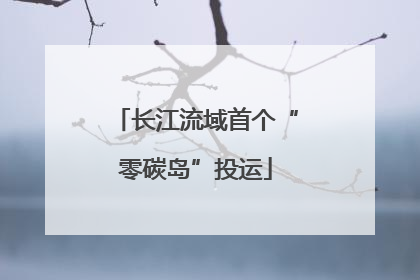 长江流域首个“零碳岛”投运