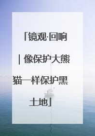 镜观·回响｜像保护大熊猫一样保护黑土地