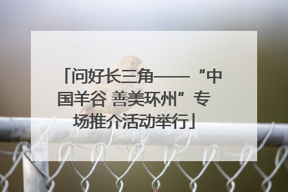 问好长三角——“中国羊谷 善美环州”专场推介活动举行