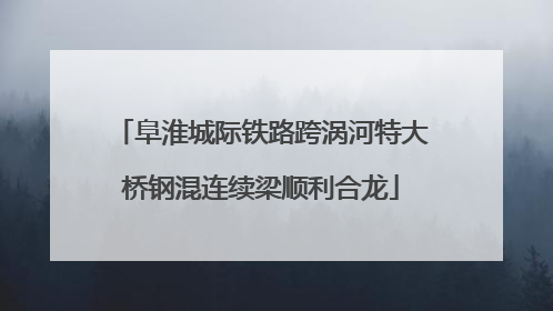 阜淮城际铁路跨涡河特大桥钢混连续梁顺利合龙