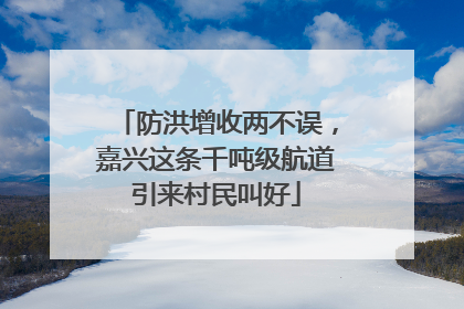 防洪增收两不误，嘉兴这条千吨级航道引来村民叫好