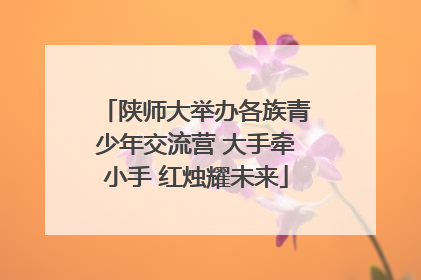 陕师大举办各族青少年交流营 大手牵小手 红烛耀未来