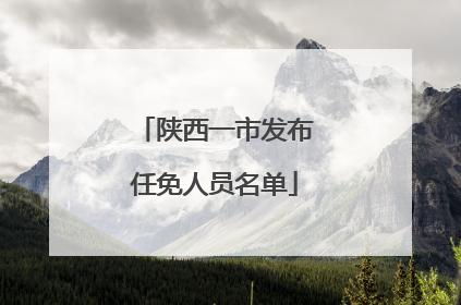 陕西一市发布任免人员名单