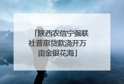 陕西农信宁强联社普惠贷款浇开万亩金银花海