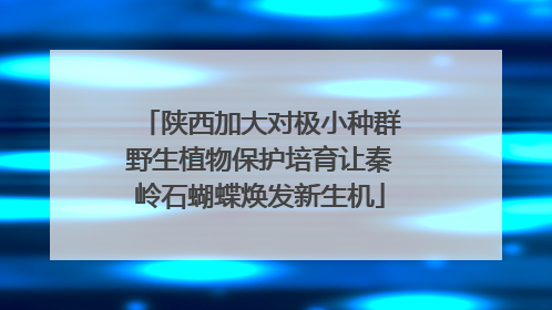 陕西加大对极小种群野生植物保护培育让秦岭石蝴蝶焕发新生机