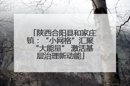 陕西合阳县和家庄镇：“小网格”汇聚“大能量” 激活基层治理新动能
