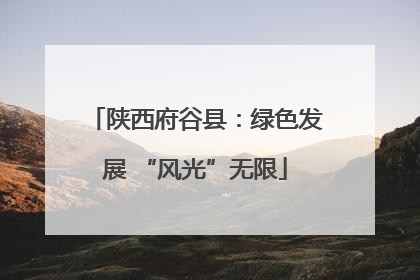 陕西府谷县：绿色发展 “风光”无限