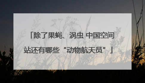 除了果蝇、涡虫 中国空间站还有哪些“动物航天员”